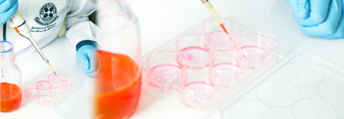10 Laboratorio de Bioproductos Farmacéuticos y Cosméticos