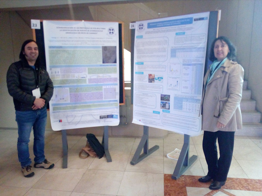 2016 08 19 melo hidalgo2