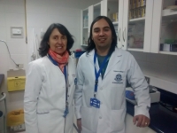 Académicos de la Facultad de Medicina son premiados en Congreso Chileno de Tecnología Médica