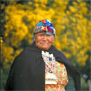 Presentacion primer informe anual del observatorio de equidad en salud según genero y pueblo mapuche. Región de la araucania